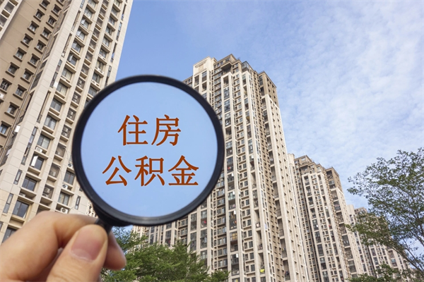 诸城辞职多久公积金可以全部取出来吗（辞职之后公积金多长时间可以取）